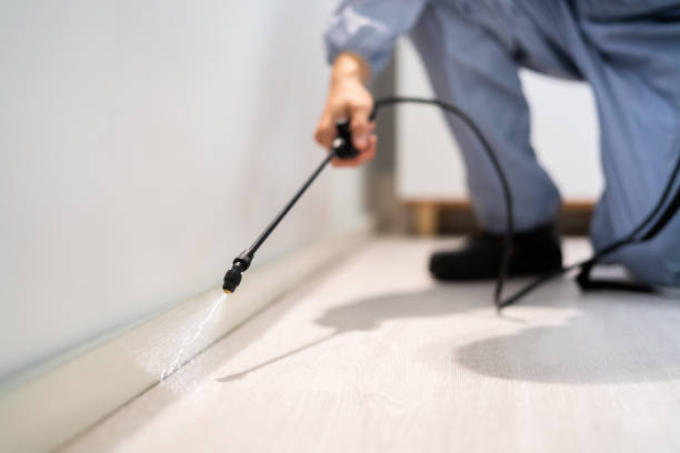 Licensed Termite Control service in Savoy, IL - Nex Pest Control