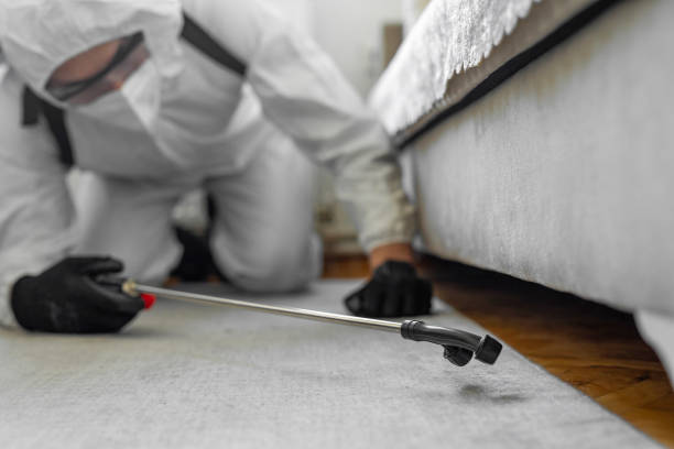 Professional Termite Control technician working in Savoy, IL