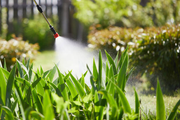24/7 Emergency Termite Control experts in Savoy, IL