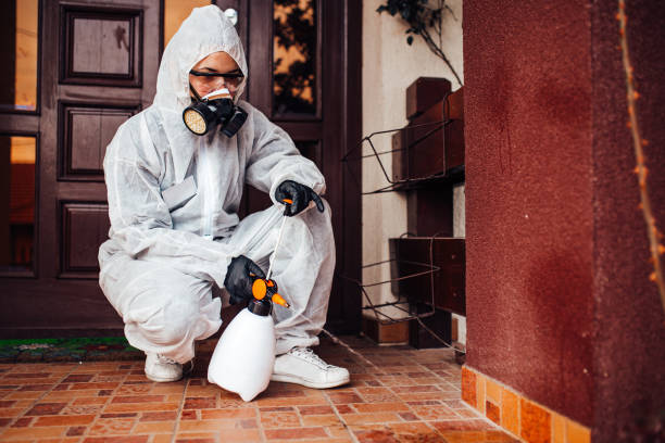 Reliable Termite Control contractor in Savoy, IL by Nex Pest Control